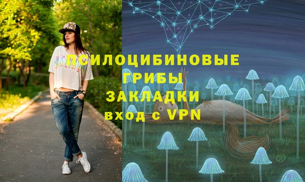 индика Кукмор