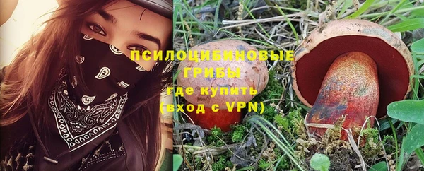 индика Кукмор