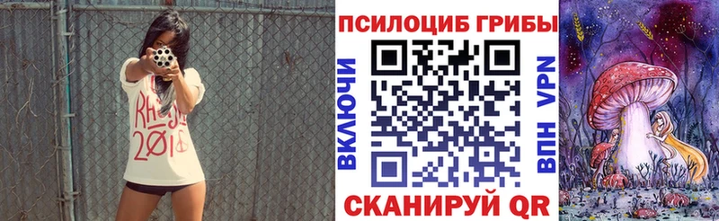 как найти закладки  Южноуральск  Галлюциногенные грибы Psilocybine cubensis 